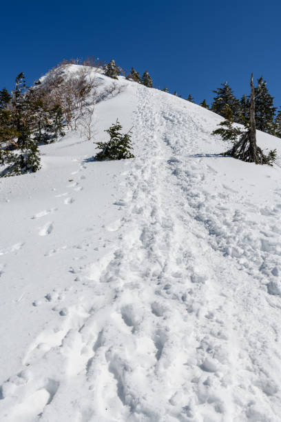 istock Mountain trail to Mt.Azumayasan 1076368912