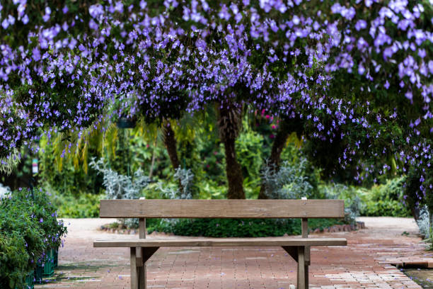 istock streptoca rpus saxorum  Vd737 1076369326