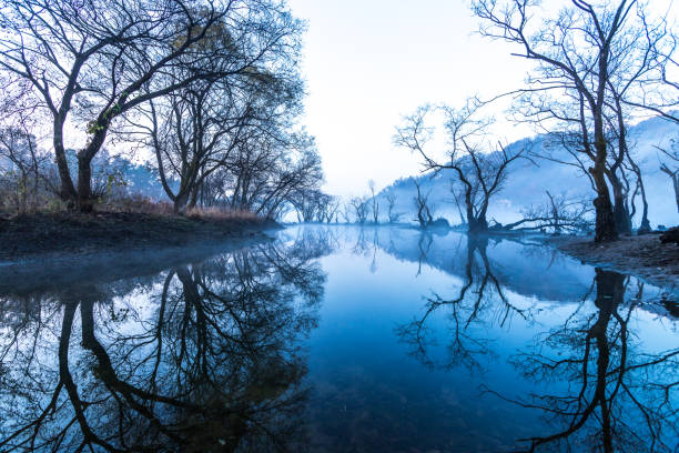 Reflection of Lohas Park in Daecheong Dam Vd737