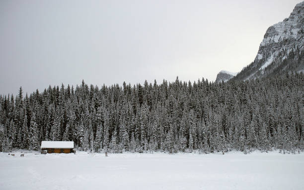 istock Chataeau Lake Louise 1076384326
