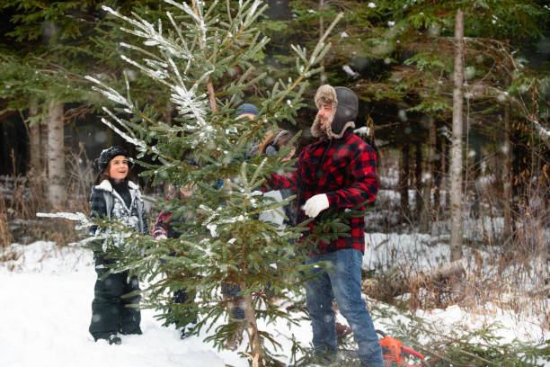 istock Cutting Christmas tree with multi-generational family 1076386234