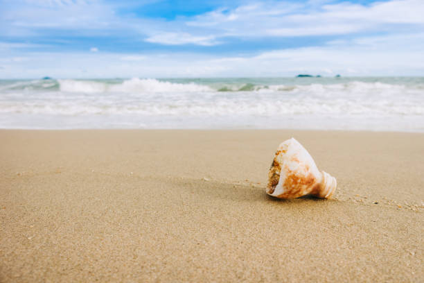 istock Plastic garbage on the beach. Mismanaged waste of plastic is the most serious source of pollution in the ocean. 1076387968