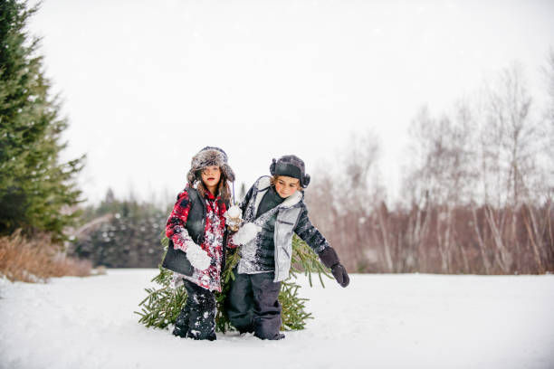 transportar a árvore de natal com a família multi-geracional - christmas family child christmas tree - fotografias e filmes do acervo