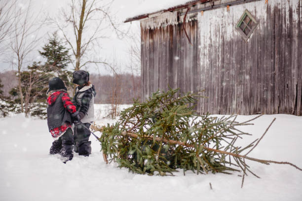 istock Carry Christmas tree with multi-generational family 1076394424