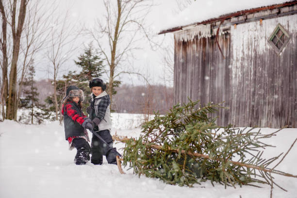 istock Carry Christmas tree with multi-generational family 1076394818