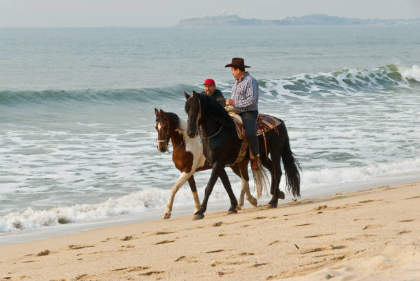 Horseback Riding at the Pacific Ocean Half Moon Bay, California, USA - November 09, 2018: Two men are horseback riding along the Pacific Coast beach. jeff goulden domestic animal stock pictures, royalty-free photos & images