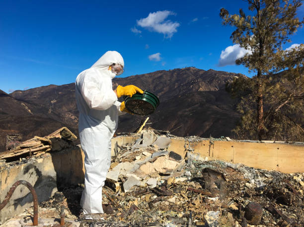istock Man in Hazmat Suit Sifting Through Wildfire Ash/Waste 1076431686