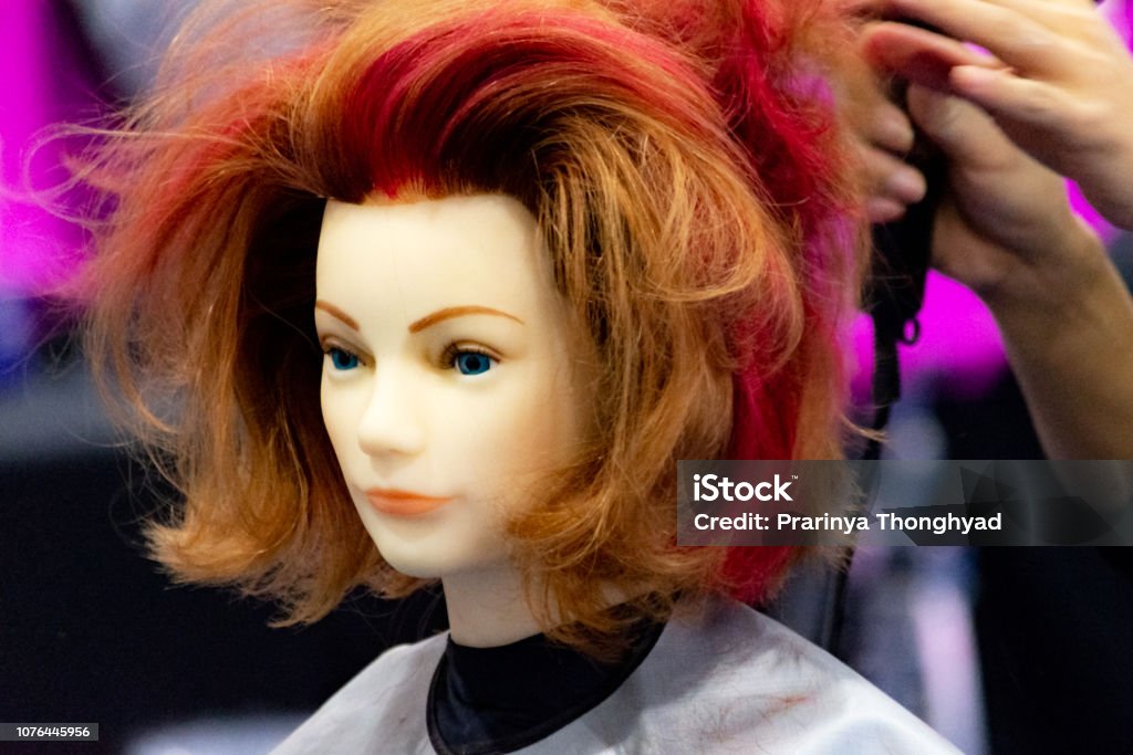Hairstyles On Dummy Head Of Hair Salon Stock Photo - Download Image Now -  Adult, Adults Only, Artificial - iStock