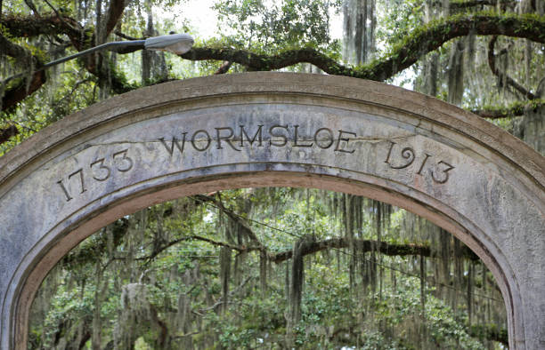 istock Gate to Wormsloe Plantation 1076446140