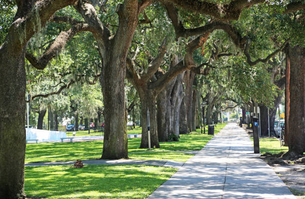 istock Alley in Emmet Park 1076449682