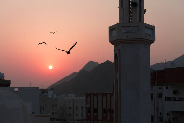 istock Birds flying around the minaret in Mecca 1076456262