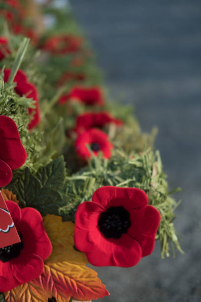istock Memorial Day Poppies 1076481150