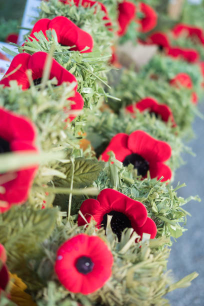 istock Memorial Day Poppies 1076481372