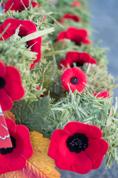 istock Memorial Day Poppies 1076481408