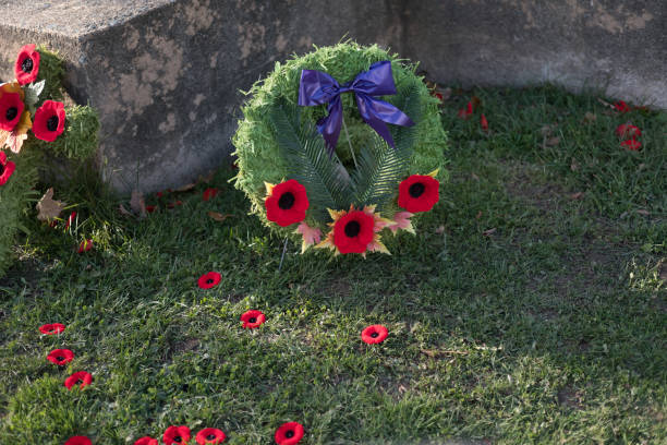 istock Memorial Day Poppies 1076483264