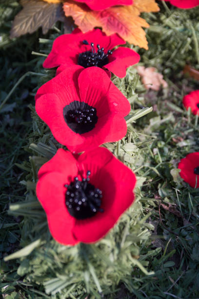 istock Memorial Day Poppies 1076484004