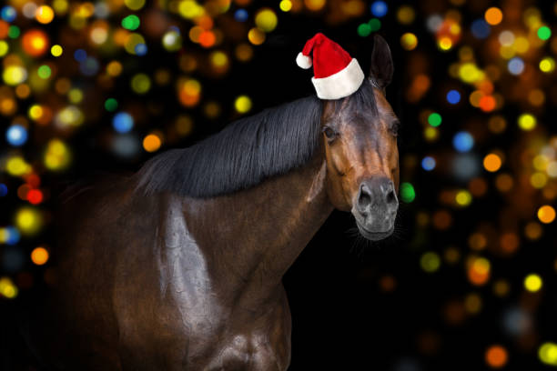 istock Horse christmas portrait 1076488820