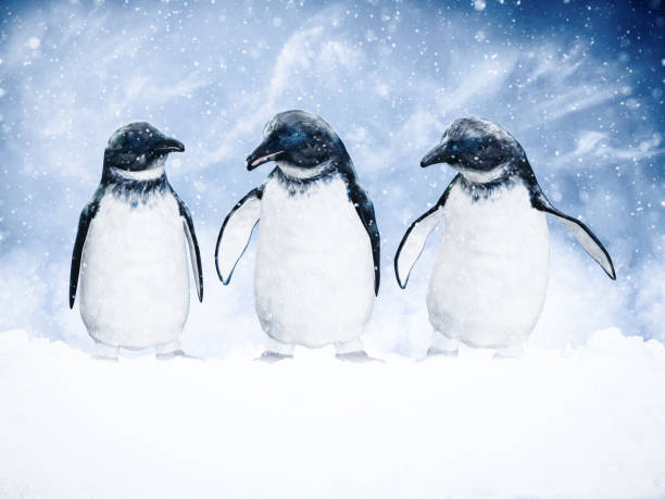 istock 3D rendering of three penguins in snow. 1076495520