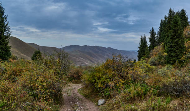 top down mountain path through the bushes and trees on the background of low mountains горная гряда stock pictures, royalty-free photos & images