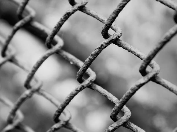 istock Iron rusty metal grill on the web 1076497344