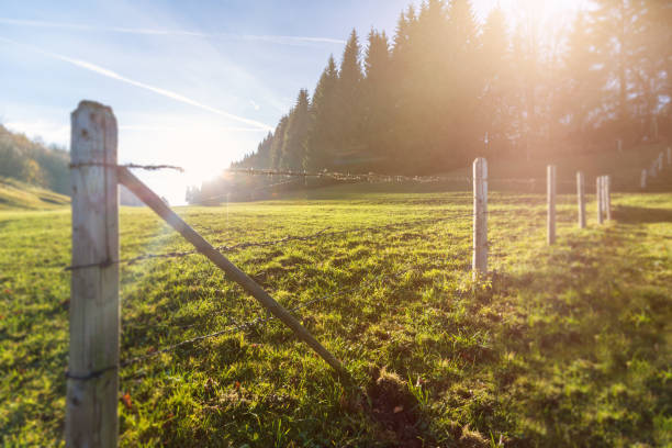 Wooden fence with sun, tilt shift effect