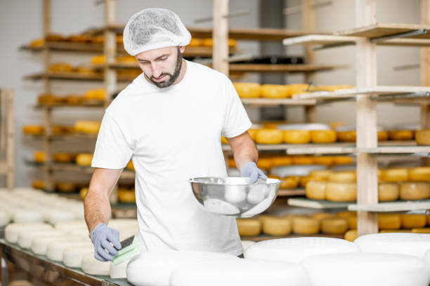 waxing cheese wheels at the manufaturing - manufaturing imagens e fotografias de stock