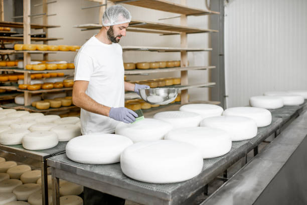 waxing cheese wheels at the manufaturing - manufaturing imagens e fotografias de stock