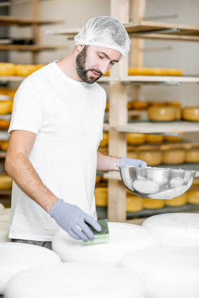 waxing cheese wheels at the manufaturing - manufaturing imagens e fotografias de stock