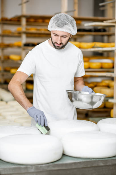 waxing cheese wheels at the manufaturing - manufaturing imagens e fotografias de stock