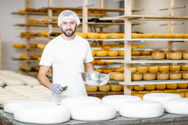 waxing cheese wheels at the manufaturing - manufaturing imagens e fotografias de stock