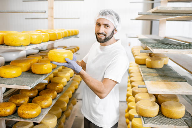 istock Man with cheese wheels at the storage 1076513398