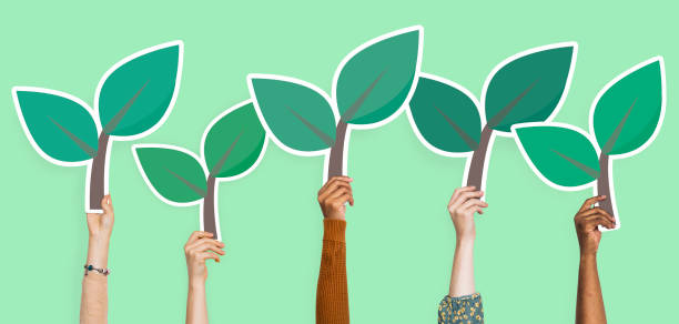 istock Hands holding plant leaves clipart 1076513454