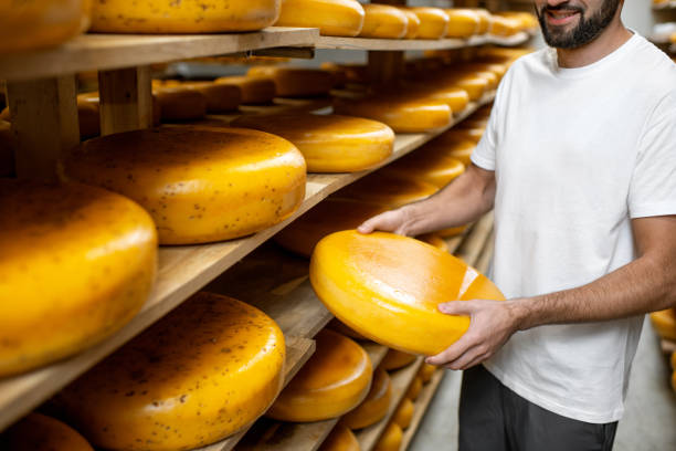 istock Taking cheese wheel at the manufacturing 1076513678