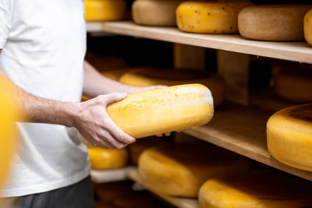 istock Taking cheese wheel at the manufacturing 1076514746