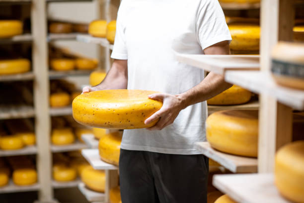 istock Holding cheese wheel at the storage 1076514896