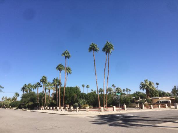 istock Street corner in Palm Springs 1076524380