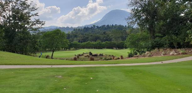 Tropical Golf Course stock photo