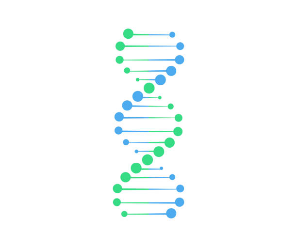 ilustrações, clipart, desenhos animados e ícones de vetor de dna. ilustração do símbolo de geração - dna science biology cell