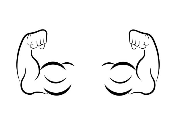 ilustrações, clipart, desenhos animados e ícones de ícone do músculo. ilustração de músculo braço - ícone plana - men muscular build bicep body building