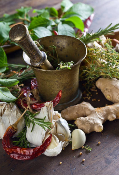 different herbs and spices with ginger on a wooden table. - mortar and pestle spice seasoning coriander seed imagens e fotografias de stock