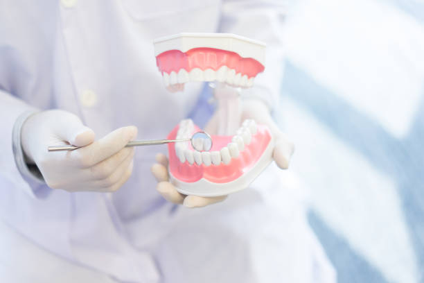 istock close up dentist hand holding teeth model denture for explain correct of treatment inside oral and give information of dental knowledge to patient at clinic office , dentistry medical concept 1076565454
