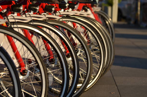 istock Row of bicycle wheels 1076571100
