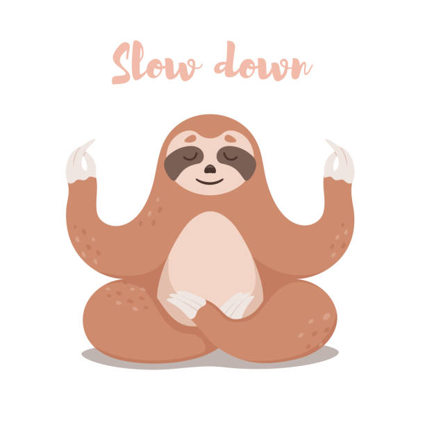 Cute Sloth sitting in Lotus yoga pose. Cartoon Sloth bear .  Vector illustration. Cute Sloth sitting in Lotus yoga pose. Cartoon Sloth bear .  Vector illustration. lazy stock illustrations