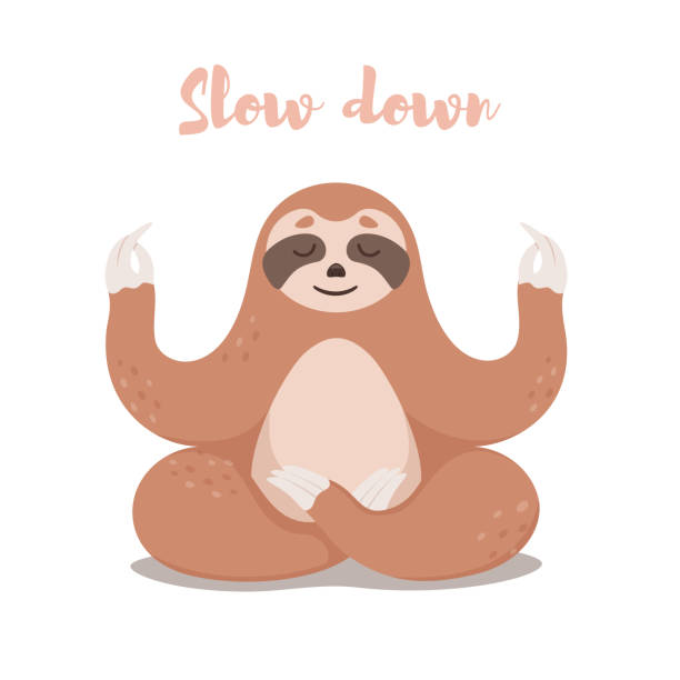 Cute Sloth sitting in Lotus yoga pose. Cartoon Sloth bear .  Vector illustration. Cute Sloth sitting in Lotus yoga pose. Cartoon Sloth bear .  Vector illustration. sloth stock illustrations