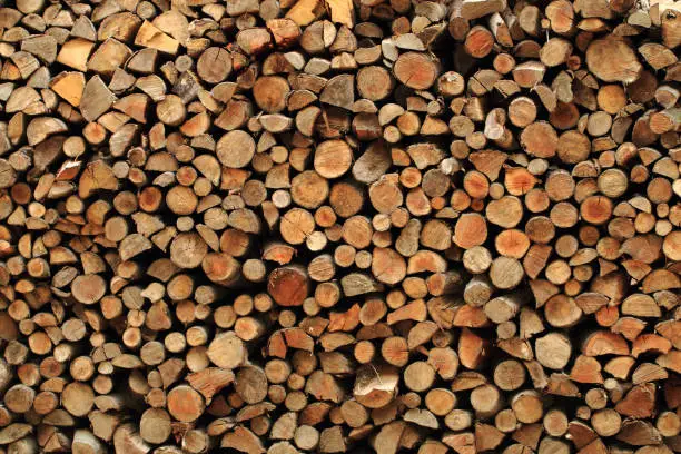 Photo of fire wood as nice background