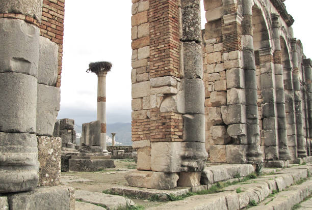 istock The ruins of Volubilis 1076578290