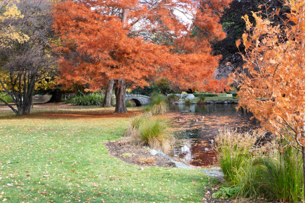 Pond in the Queenstown Gardens, New Zealand. May 2018, showing the last of the Autumn colours