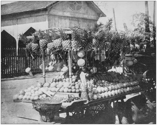 Antique historical photographs from the US Navy and Army: Cuban fruit stand Antique historical photographs from the US Navy and Army: Cuban fruit stand cuba market stock illustrations