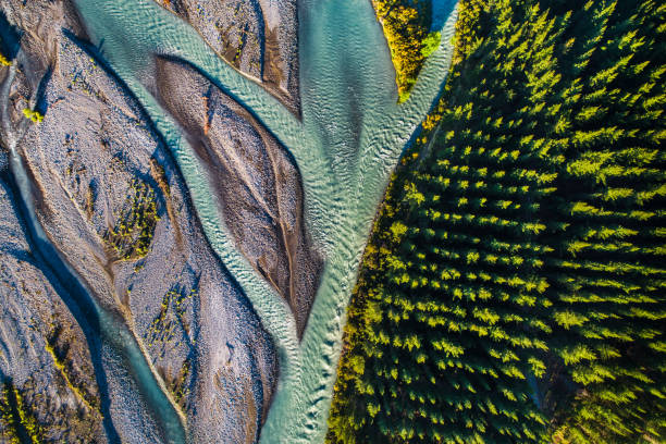 río que fluye junto al bosque de pinos. - beauty in nature beauty beautiful blue fotografías e imágenes de stock