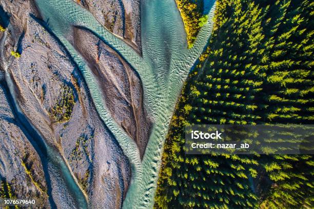 River Flowing Next To Pine Forest Stock Photo - Download Image Now - Aerial View, New Zealand, Forest